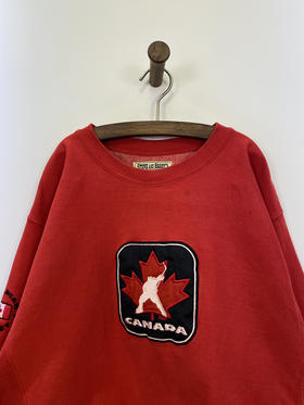 Y2K Vintage STEVE AND BARRY’S 全刺绣 卫衣 _SLSS(L)