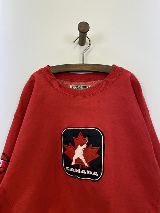 Y2K Vintage STEVE AND BARRY’S 全刺绣 卫衣 _SLSS(L) 商品图0