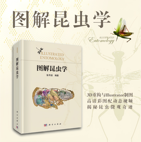 图解昆虫学