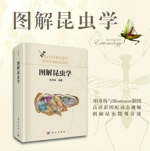图解昆虫学 商品图0