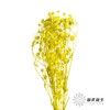 干花 | 情人果黄色 商品缩略图1