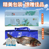 【2025保真密云水库鱼】密云水库鱼 白鲢鱼鱼肉  鱼肉馅 现捞现发 净膛发货6斤/8斤/10斤/15斤多退少补 商品缩略图6