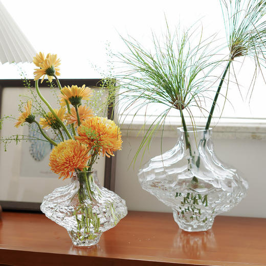 SY同城甄选玻璃花瓶透明烟灰装饰摆件ins风北欧 商品图0