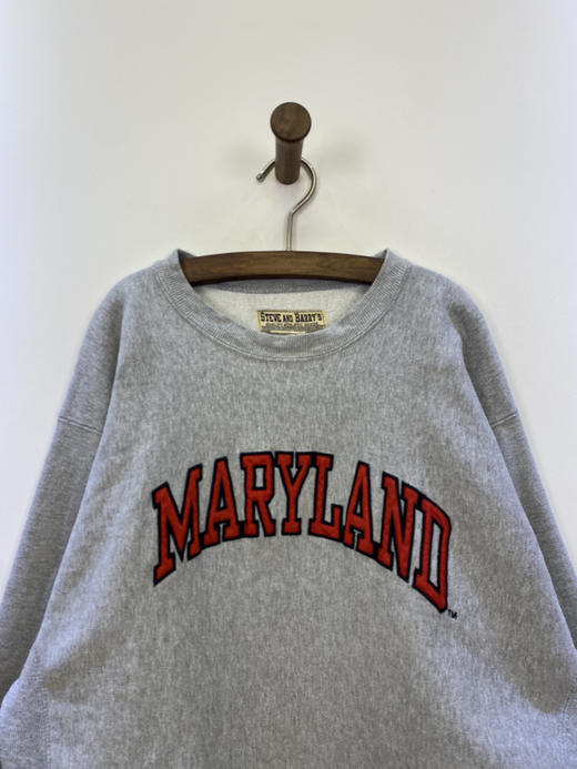 Y2K Vintage STEVE AND BARRY’S 卫衣 _SLSS(L) 商品图0