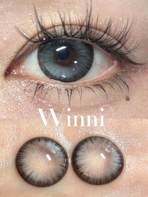 【大直径混血】D29·银光海星·Winni丨14.5mm（日抛/一大盒10片装） 商品图0