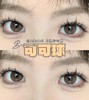 jellydoll 月抛 可可球 直径14.5mm着色13.94mm 商品缩略图9