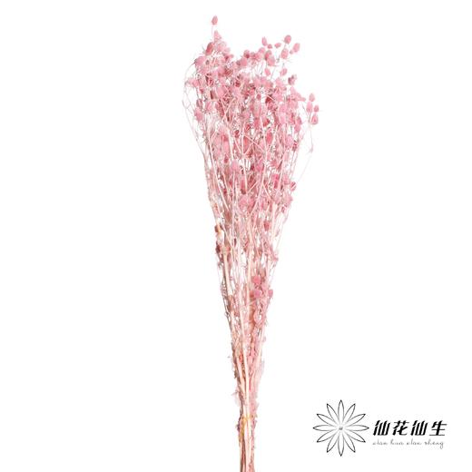 干花 | 情人果粉 商品图1