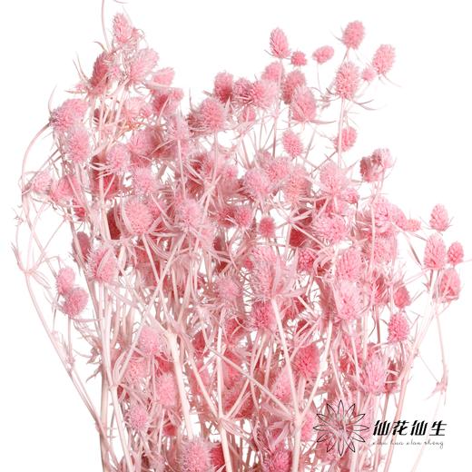 干花 | 情人果粉 商品图0