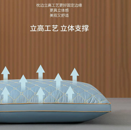 单边护颈软枕头枕芯一对 商品图4
