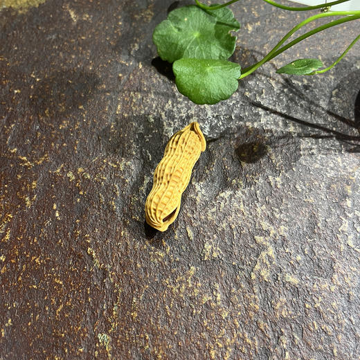 三籽花生（单个随机） 商品图2