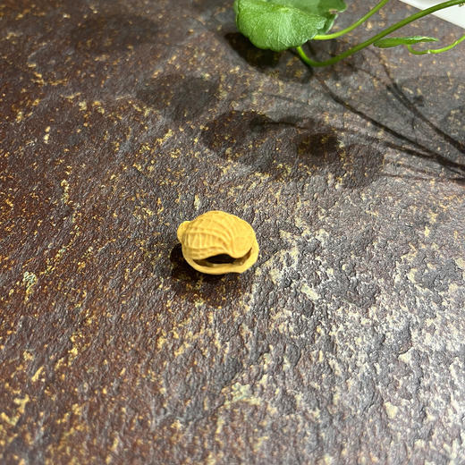 2.0单籽花生（单个随机） 商品图2