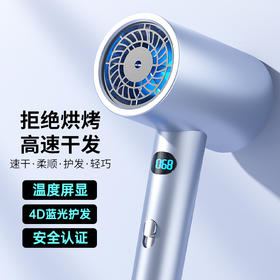 【精选】艾曼尼智能LED显示吹风机5688（两色可选）