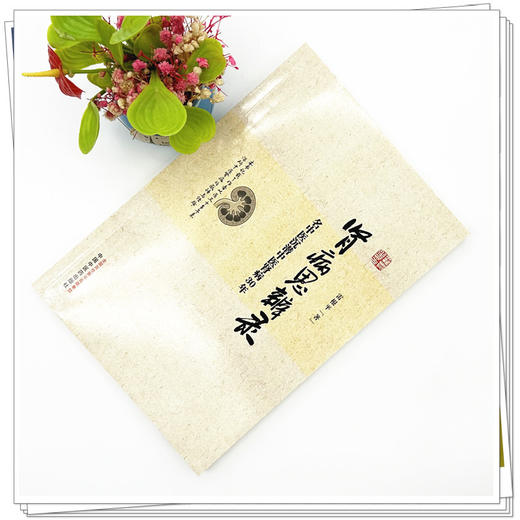 肾病思辨录：名中医沉潜中医肾病30年 雷根平 著 中国中医药出版社 商品图1