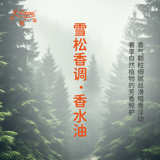 雪松香调香水油 植物精油香氛 适用护体香 护手油 润发丝 大篷车精油 商品图2