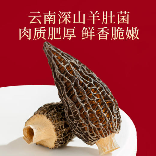 【中秋礼盒】神农金康 海参鲍鱼羊肚菌西洋参四拼礼盒136克 新中式滋补礼 礼 商品图5