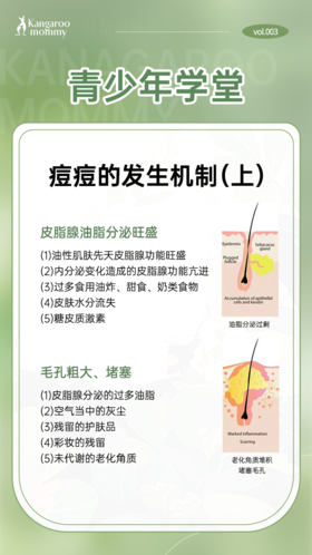 痘痘的发生机制（上）