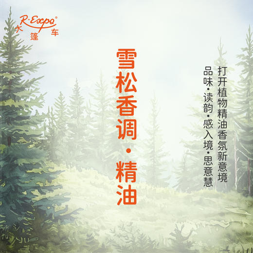 雪松香调·精油 植物精油香氛 适用香水 护肤洗护产品 大篷车精油 商品图0