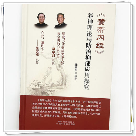 黄帝内经养神理论与防治抑郁应用探究 张延丞 编著 中国中医药出版社 商品图3