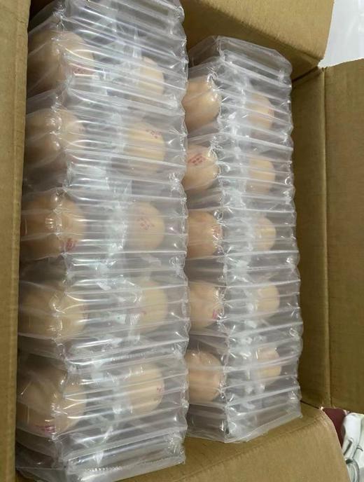 农鲜军五粮蛋40枚装 商品图5