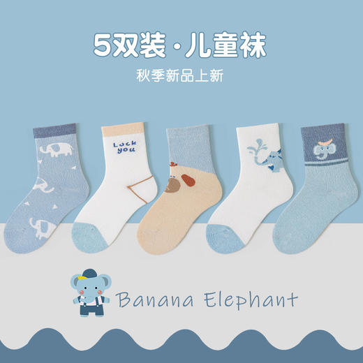 【5双装儿童袜子男童】春秋棉袜 男宝宝秋冬吸汗中筒袜 卡通舒适男女孩棉袜  商品图5