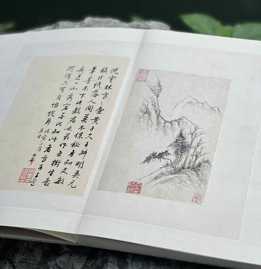 《董文敏画稿册》〔明〕董其昌 绘，〔清〕高士奇 跋，原大，册页装，带函套，浙江人民美术出版社2024年8月一版一印。定价488，售价328元。 商品图13