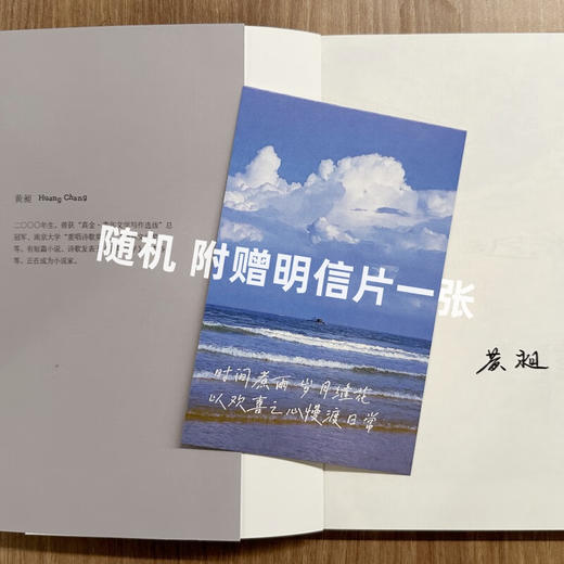 【签名本】迟湖（苏童，张定浩推荐，00后写作者、“真金·青年文学写作”总*首部小说集） 商品图1