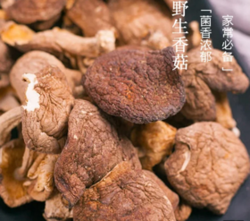 野生香菇/带着浓郁的森林气息/香菇250g/