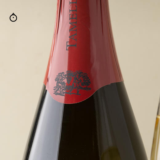 企鹅市集|意大利塔米里尼酒庄 传统法年份起泡酒2018 清新细腻蜜瓜香 商品图6