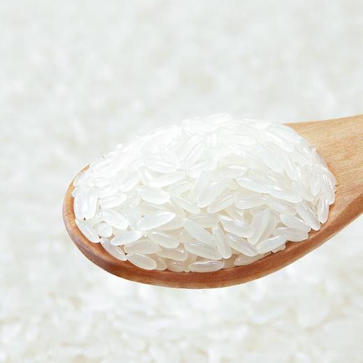 十月稻田鲜米东北大米2.5kg 商品图4