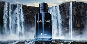【1F】DIOR迪奥旷野凛冽之水香精100ml