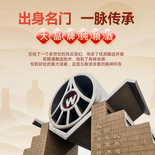 【宜宾五粮液出品】五粮液江山万里·臻品陈酒 浓香型白酒 52%vol 商品图1