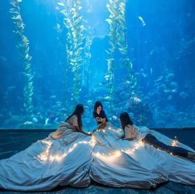 屏东垦丁｜夜宿屏东海生馆・入住海生馆一晚