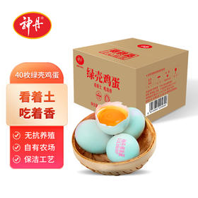 【神丹】绿壳鸡蛋40枚 家庭量贩装