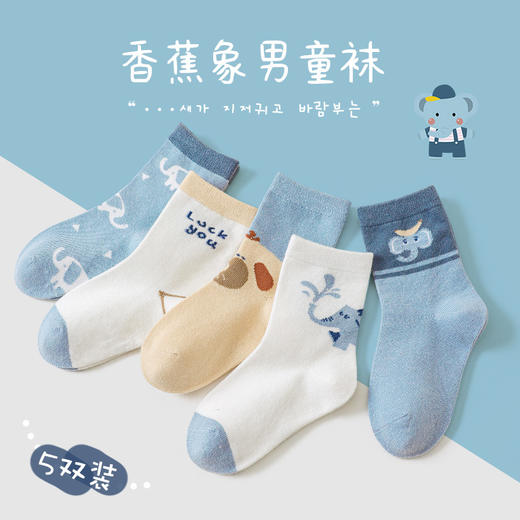 【5双装儿童袜子男童】春秋棉袜 男宝宝秋冬吸汗中筒袜 卡通舒适男女孩棉袜  商品图3