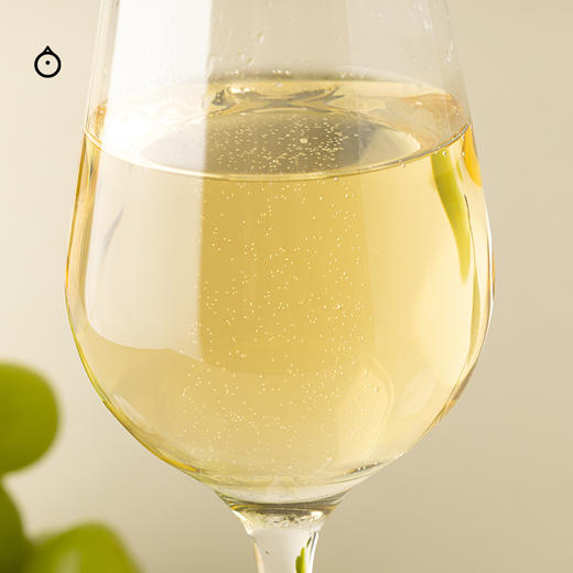 企鹅市集|意大利塔米里尼酒庄 传统法年份起泡酒2018 清新细腻蜜瓜香 商品图3