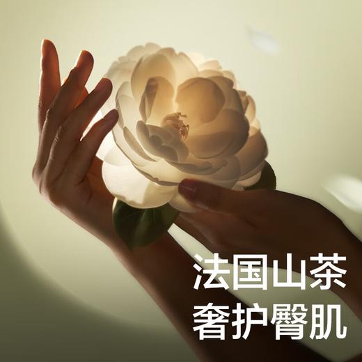 Babycare 山茶轻柔婴儿纸尿裤 正装-XL码-36片 BC2109009 商品图2