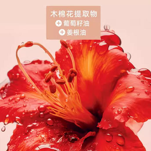 三生花精油香氛润发精华素(密集修护)500ml（240475） 商品图3