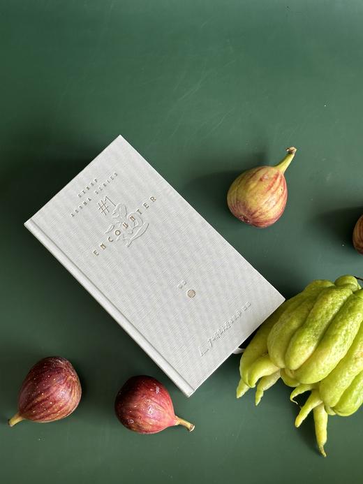 遇encounter“书香”香氛  专属于读书人的香氛  广西师范大学出版社出品 商品图2