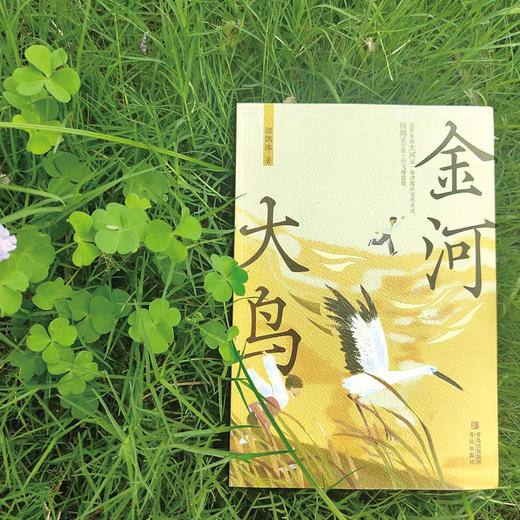 《金河大鸟》 商品图2