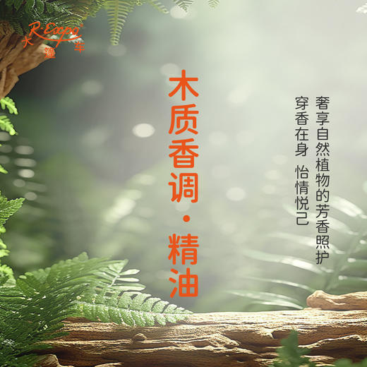 木质香调·精油 植物精油香氛 适用香水 护肤洗护产品 大篷车精油 商品图2