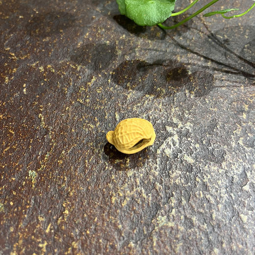 2.0单籽花生（单个随机） 商品图3