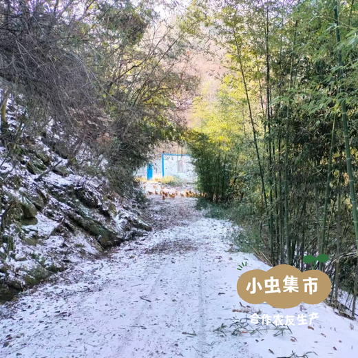 生态散养仔母鸡 整只/斩块（每周一、三、五发货） | 合作农友生产，产自湖北广水，生产者：湛小良 *【公平贸易农人定价】 商品图14