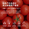 笑厨番茄酱 【750g/盒 】 商品缩略图3