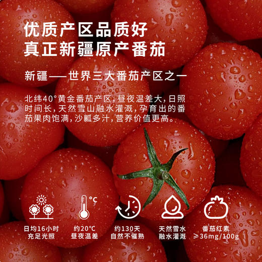 笑厨番茄酱 【750g/盒 】 商品图3