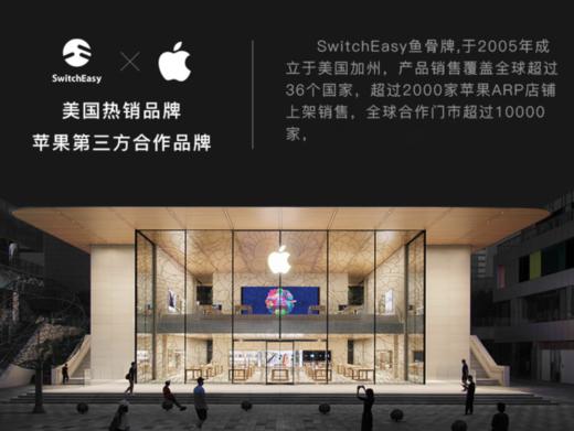 鱼骨 保护壳 iPhone 15系列 艺术家磁吸 白花 商品图2