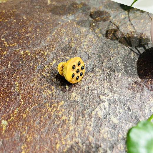 2.0小莲蓬（款式随机） 商品图0