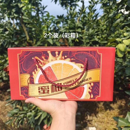 甄源|主推|福建三红蜜柚4.5斤2个/8-9斤3-4个果大皮薄汁多甜蜜 商品图10