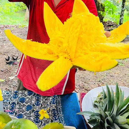 马来西亚 亚庇 水果园-榴莲园 半日游 商品图1