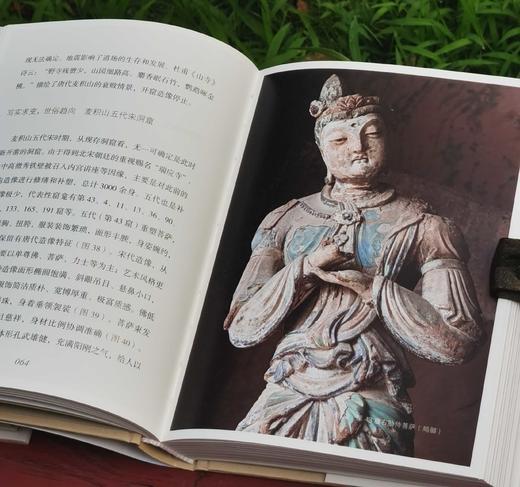 《不可错过的中国石窟》，全5册，小32开，精装，赵昆雨等著，江苏凤凰美术出版社2022-2024年版，定价:490，售价：240元。 商品图13