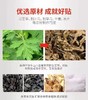 【预售】CY艾草护膝一对 商品缩略图2